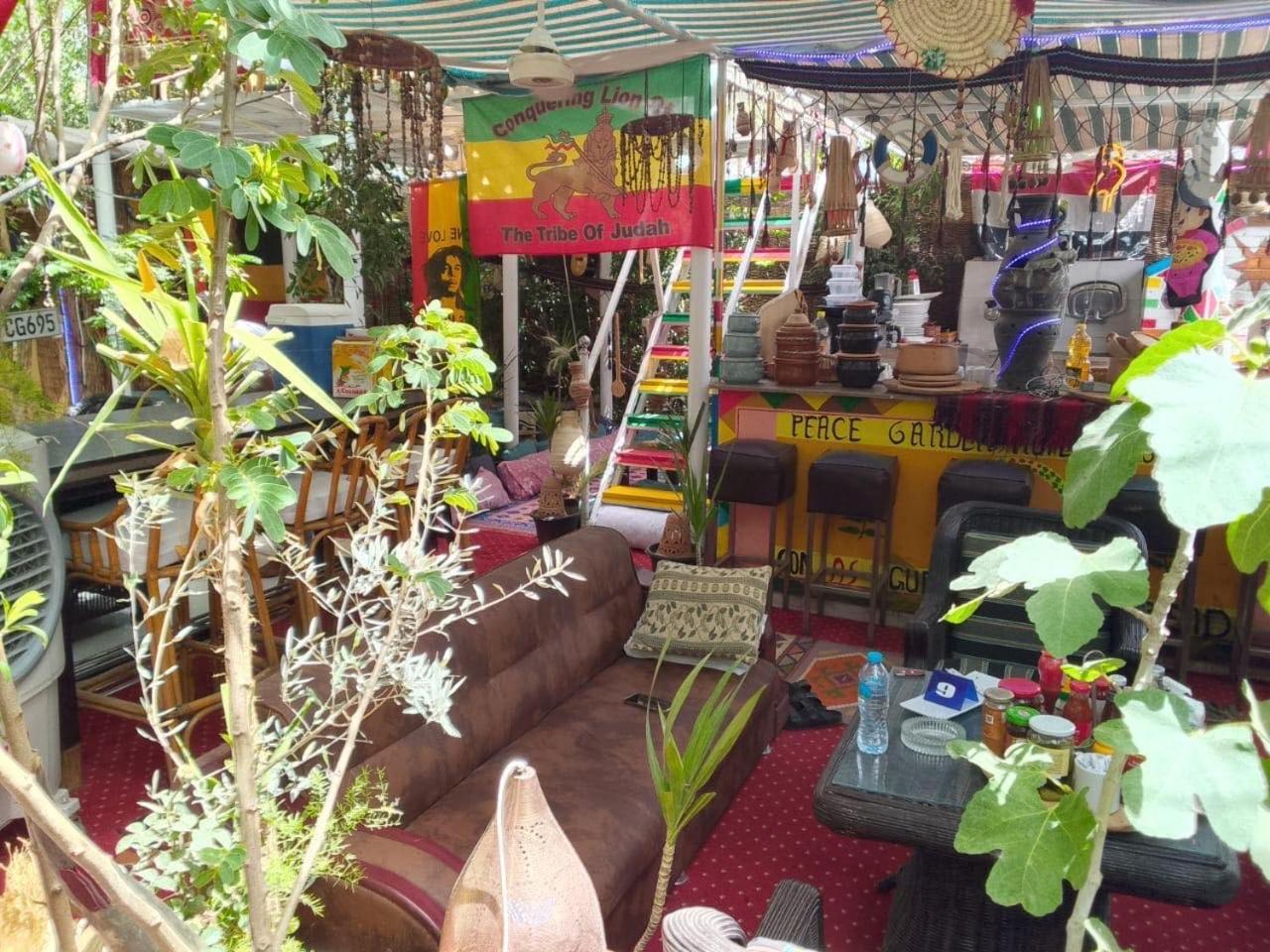 Peace Garden Hostel & Camp Luxor Exteriör bild