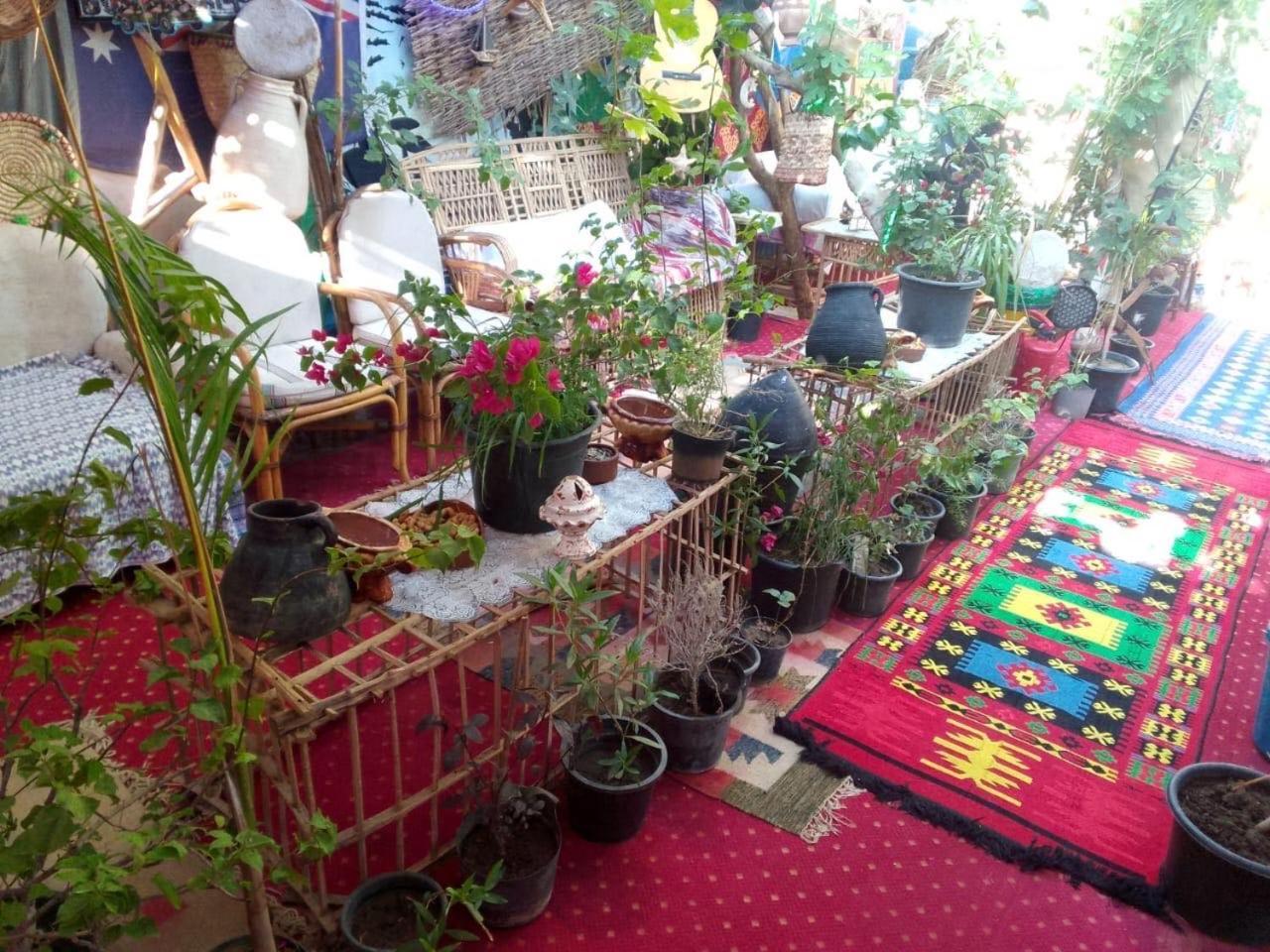Peace Garden Hostel & Camp Luxor Exteriör bild